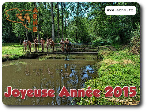 Bonne année 2015