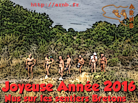 Bonne année 2016