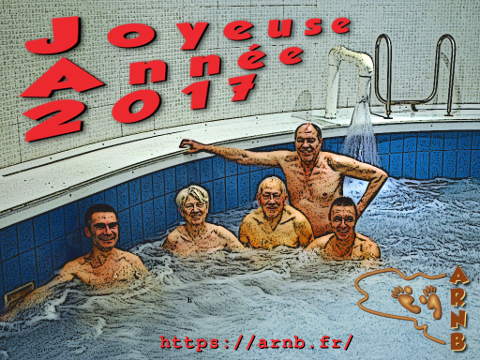 Bonne année 2017