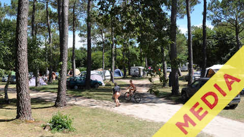 Sans transition - Les raisons de tomber le maillot