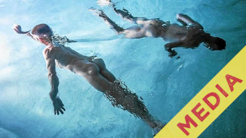 Le Télégramme parle de l'ANF