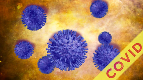 Covid-16 - La nécessité du confinement