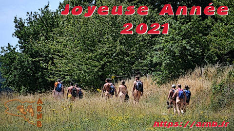Bonne année 2021